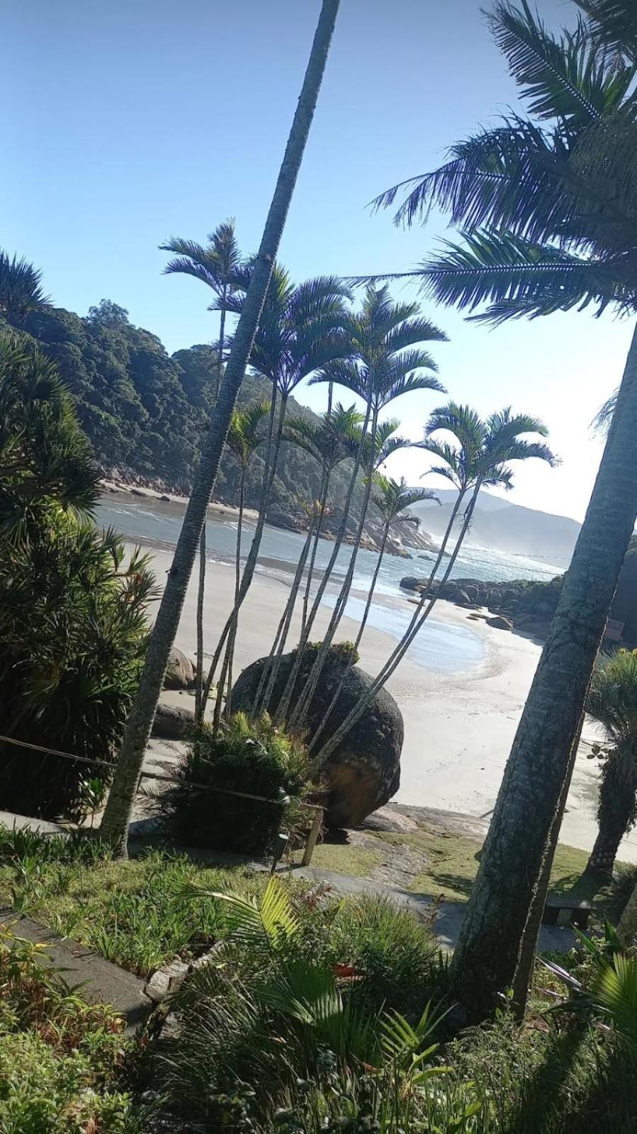 Hotel Ilha Do Papagaio - Pousada Exclusiva Palhoça Zewnętrze zdjęcie
